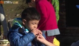 沙溢最新爆料视频大全,揭秘娱乐圈幕后故事